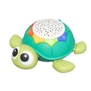 Musical Crawling Turtle